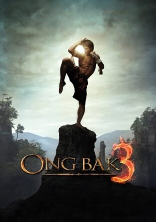 Ong Bak 3 2010 Dual Audio Hindi-English 480p 720p 1080p Bluray