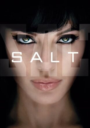 Salt 2010 Dual Audio Hindi-English 480p 720p 1080p Bluray Gdrive Link