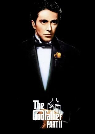 The Godfather: Part 2 1974 Dual Audio Hindi-English 480p 720p Gdrive