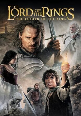 The Lord of the Rings: The Return of the King 2003 Dual Audio Hindi-Eng