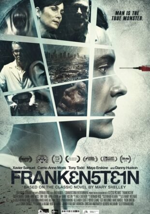 Frankenstein 2015 Dual Audio Hindi-English 480p 720p