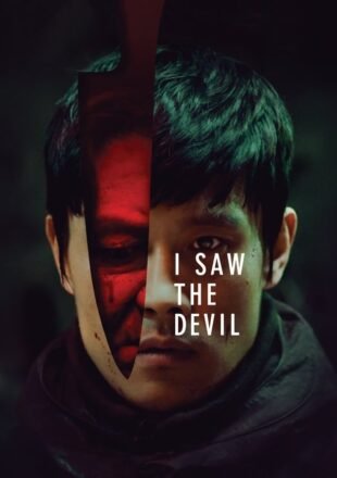 I Saw the Devil 2010 Dual Audio Hindi-Korean 480p 720p 1080p