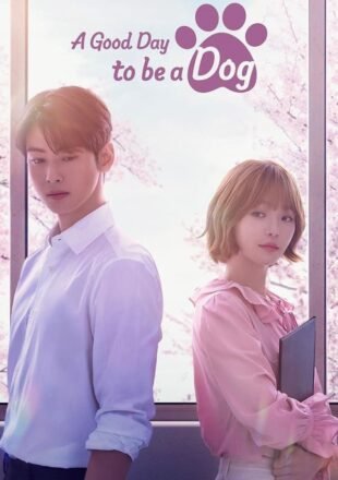 A Good Day to be a Dog Season 1 Korean With Subtitle 720p 1080p All Episode