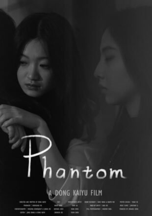 Phantom 2023 Dual Audio Hindi-Korean 480p 720p 1080p