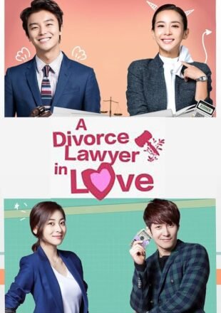 Divorce Lawyer in Love Season 1 Hindi Dubbed 720p 1080p All Episode