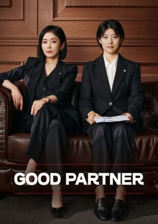 Good Partner Season 1 Korean With English Subtitle 720p 1080p All Episode