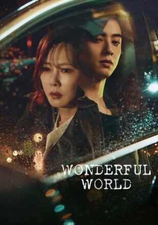 Wonderful World Season 1 Korean With English Subtitle 720p 1080p All Episode