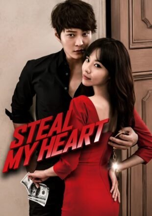 Steal My Heart 2013 Dual Audio Hindi-Korean 480p 720p 1080p