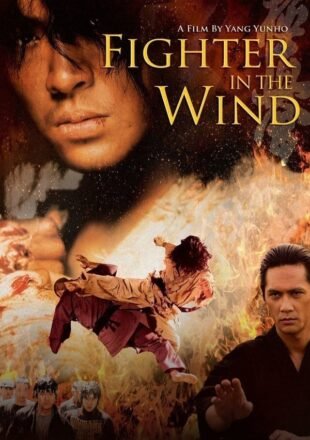 Fighter in the Wind 2004 Dual Audio Hindi-Korean 480p 720p 1080p