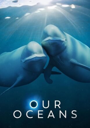 Our Oceans Season 1 Dual Audio Hindi-English 720p 1080p All Episode