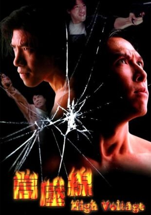 Asian Cop: High Voltage 1994 Dual Audio Hindi-Chinese 480p 720p 1080p