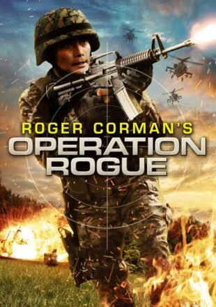 Operation Rogue 2014 Dual Audio Hindi-English 720p 1080p