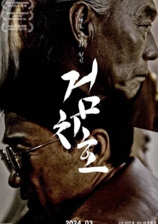 Tiger’s Trigger 2024 Multi Audio Hindi-English-Korean 480p 720p 1080p