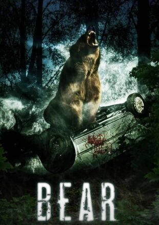 Bear 2010 Dual Audio Hindi-English 480p 720p 1080p