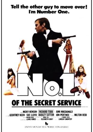 No. 1 of the Secret Service 1997 Dual Audio Hindi-English 480p 720p 1080p