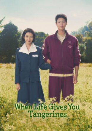 When Life Gives You Tangerines Season 1 Multi Audio Hindi-English-Korean S01E08 Added